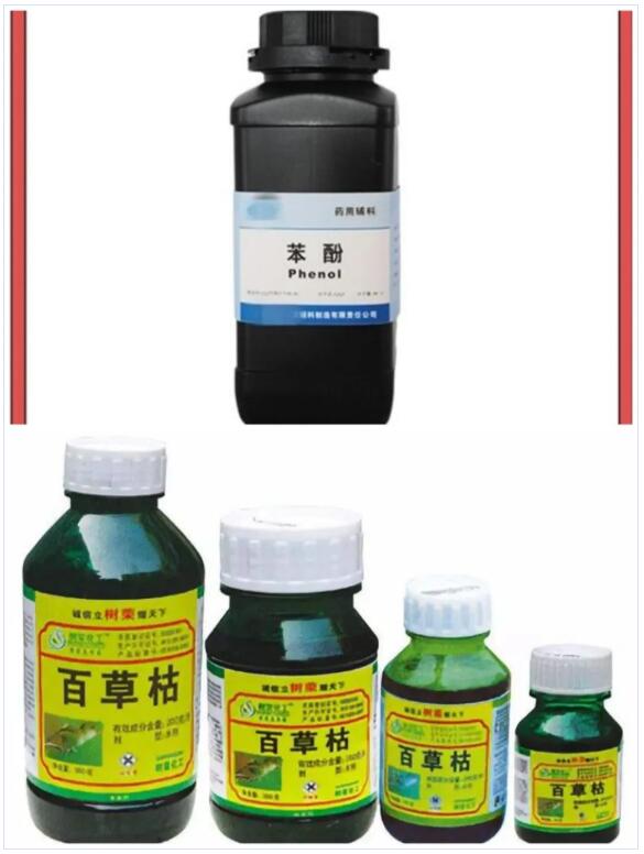 <a href='http://www.chinaepdmgranules.com' title='國際貨運代理' >國際貨運代理</a>
